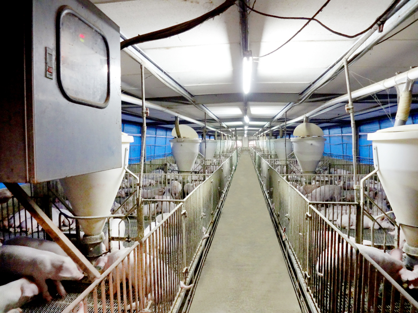 用于養殖場污水處理的新工藝，預計可降低28%運營成本02