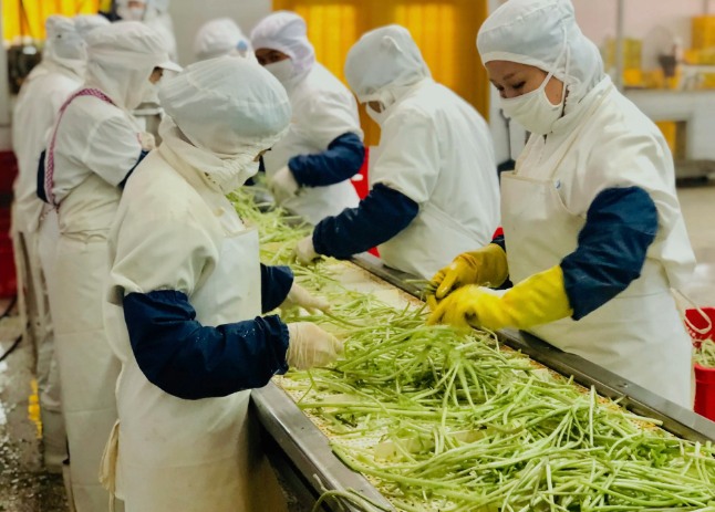 三種食品污水處理設(shè)備工藝流程，看看哪種適合您？