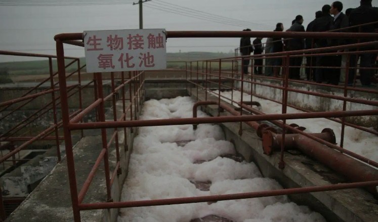 生物接觸氧化池的作用是什么？（生物接觸氧化池去除什么）-01